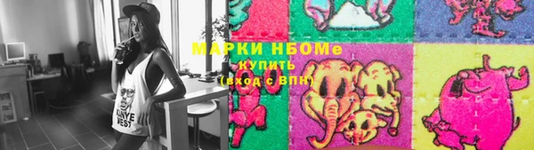 гашик Сосновый Бор