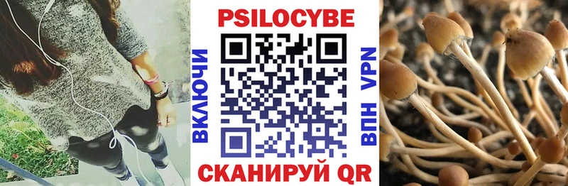 Псилоцибиновые грибы GOLDEN TEACHER  Боготол 